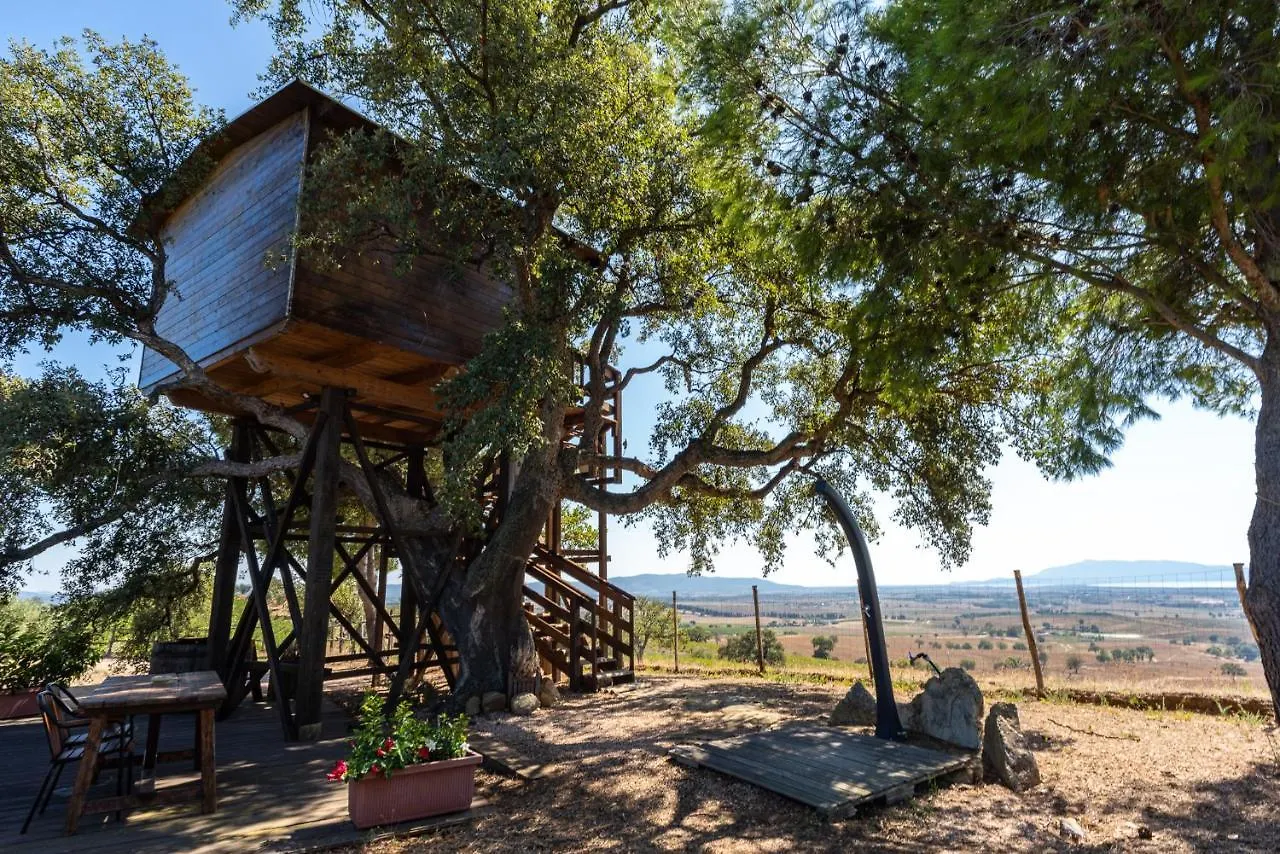 Casa Sull'Albero Vista Mare Argentario Villa Fonteblanda Italy