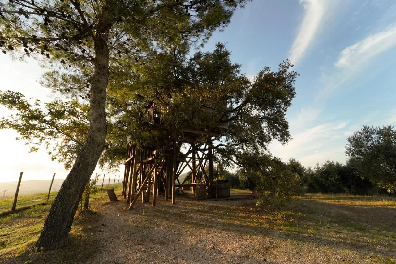 Lodge Casa Sull'Albero Vista Mare Argentario Villa Fonteblanda
